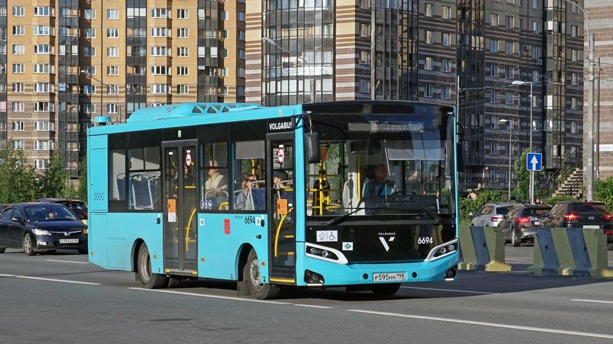 В Петербурге назвали отличительные черты новых лазурных автобусов