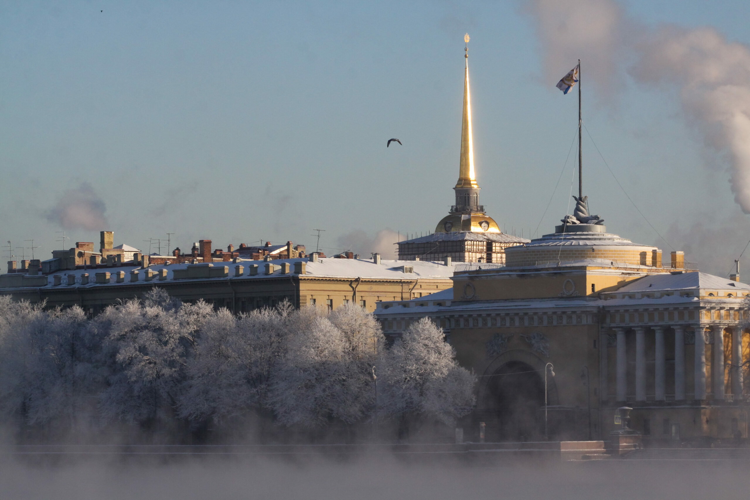 Санкт петербург ситуация