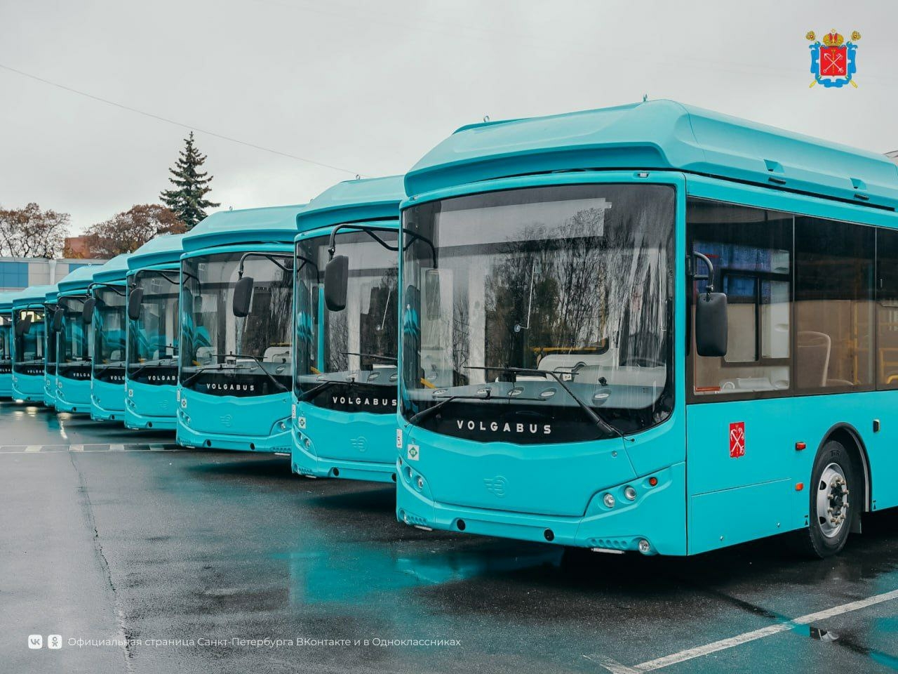 Петербург презентовал экологичный общественный транспорт на экологическом  форуме