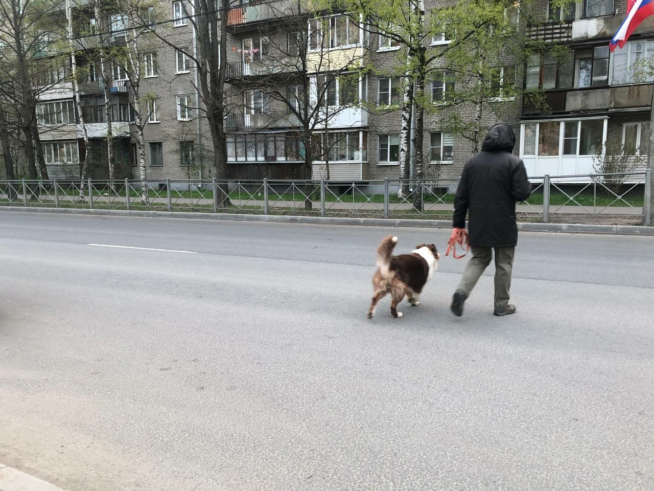 В Петербурге запустили чат-бот, показывающий ближайшие площадки для ...
